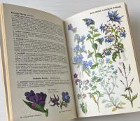 The Wild Flowers of Britain and Northern Europe