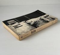Plato : An Introduction