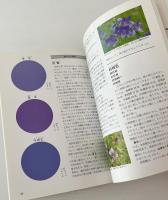 日本の伝統色 : 色の小辞典