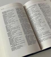 Dictionnaire de la prononciation française dans sa norme actuelle