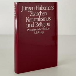 Zwischen Naturalismus und Religion: Philosophische Aufsätze