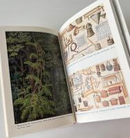 Bamboo and Rattan: Traditional Uses and Beliefs