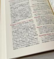 英米児童文学辞典