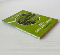 中国大陸青年民主運動之探討, 1978-1979