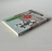 共和国海戦内幕