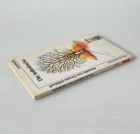 Die Judenbuche