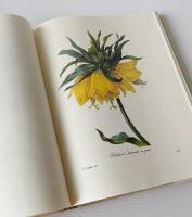 The Most Beautiful Flowers