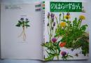 のはらのずかん : 野の花と虫たち