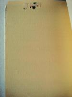 サンゴ礁の生きもの