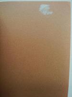 大西郷遺訓 : 立雲頭山満先生講評