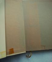 巨大分子 : プラスチック時代の原動力