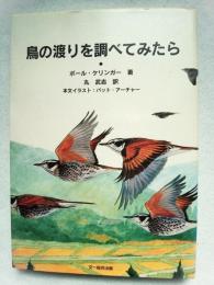 鳥の渡りを調べてみたら
