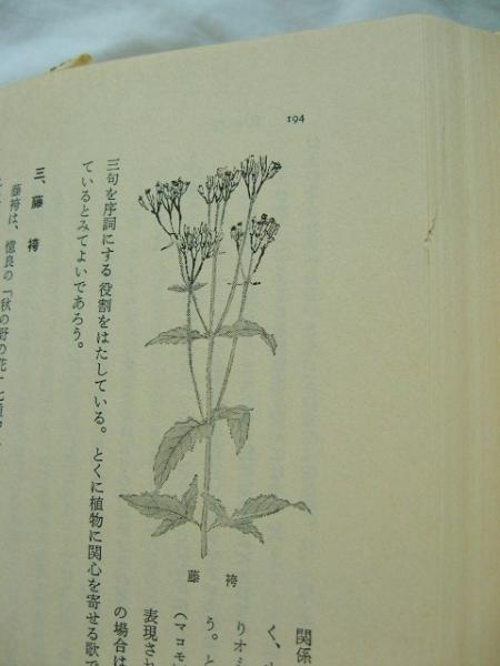 万葉の花 花と生活文化の原点 桜井満 著 稲野書店 古本 中古本 古書籍の通販は 日本の古本屋 日本の古本屋