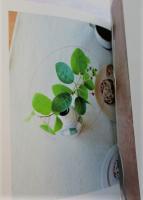 花はそっと、日常に。 : 選ぶ、かざる、愛でる。いつもの暮らしの景色を変える花の選び方、しつらい方。