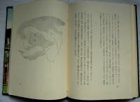 アンデルさんの記