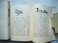 動物行動学　2　上下巻