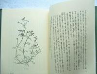 私の植物散歩