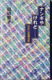 ナンギやけれど…  わたしの震災記