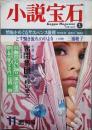 小説宝石　創刊号　