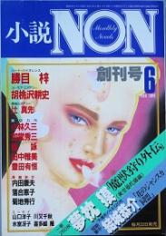 小説 ＮＯＮ　　創刊号