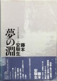 夢の淵