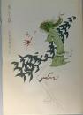 多毛留
