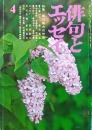 特集　飯田龍太の世界
