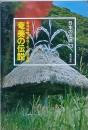 奄美の伝説