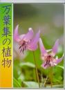 　万葉集の植物