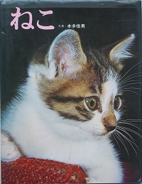 ねこ