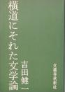 よこみちにそれた文学論