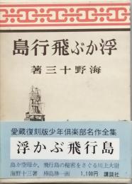 浮かぶ飛行島