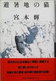 避暑地の猫