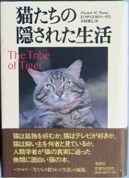 猫たちの隠された生活