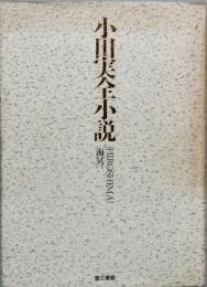 小田実全小説　 ＨＩＲＯＳＨＩＭＡ　　海冥