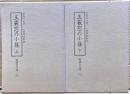 玉霰窓の小篠　上下二冊揃い