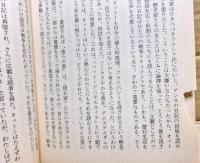 思い出のアンネ・フランク