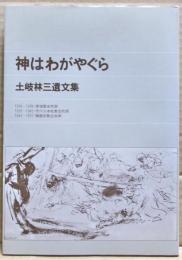神はわがやぐら : 土岐林三遺文集