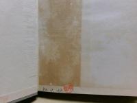 カンチェンジュンガ : その成功の記録