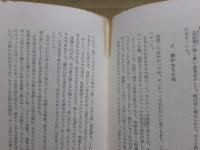 ヴェトナムの砦 : 一画家の見た感動の従軍記