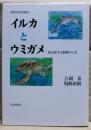 イルカとウミガメ : 海を旅する動物のいま