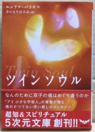 ツインソウル : なんのために双子の魂はめぐり逢うのか