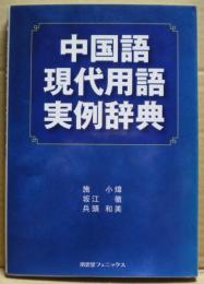 中国語現代用語実例辞典