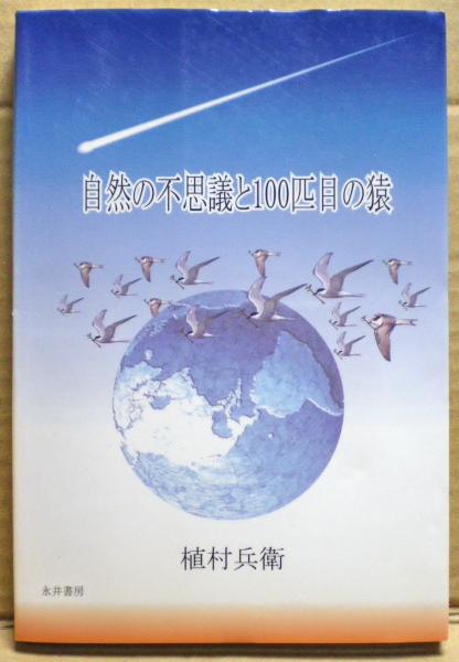 Amazon.co.jp: 曹洞宗1分3分5分法話事例別集成 : 中野東禅: 本