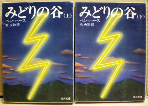 ええじゃないか」と近世社会(伊藤忠士 著) / 光国家書店 / 古本