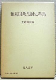和泉国条里制史料集