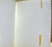 鍼灸学 : 経絡局所診療の実際
