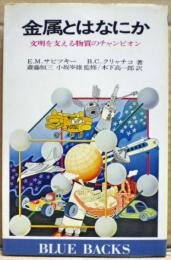 金属とはなにか : 文明を支える物質のチャンピオン