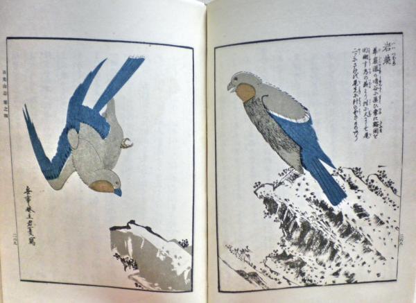 日光山志図会(上田孟縉編集) / 光国家書店 / 古本、中古本、古書籍の 