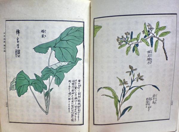 日光山志図会(上田孟縉編集) / 光国家書店 / 古本、中古本、古書籍の 